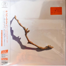 Pj Harvey - I Inside the Old Year Dying