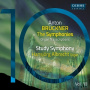 Albrecht, Hansjorg - Bruckner, Horn & Schneider: the Bruckner Symphonies, Vol. 10 - Organ Transcriptions