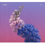 Flume - Skin