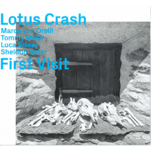 Lotus Crash - First Visit