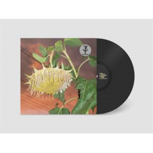 Phatness - Fillerkiller