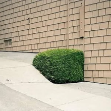 Feinberg, Ezra - Soft Power