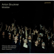 V/A - Bruckner: Motetten