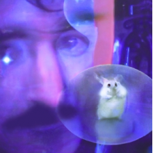 Bachratten - Durch Dich Durch