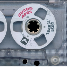Guano Apes - The Lost (T)Apes