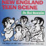V/A - New England Teen Scene