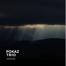 Pokaz Trio - Voices
