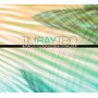 Tim Ray Trio - Windows