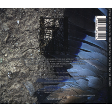 Misfortunes - Voices Never Heard