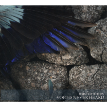 Misfortunes - Voices Never Heard