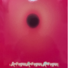 Yhwh Nailgun - 45 Pounds