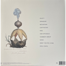 Cohen, Hannah - Earthstar Mountain