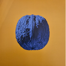 Sas, Brunori - L'albero Delle Noci