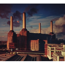 Pink Floyd - Animals