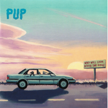 Pup - Who Will Look After the Dogs?