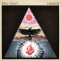 Dim Gray - Shards