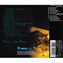 Ramones - Animal Boy