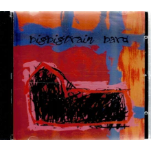 Big Big Train - Bard