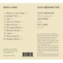 Eberhard, Silke & Jan Roder & Kay Lubke - Being-A-Ning