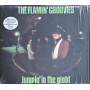 Flamin' Groovies - Jumpin' In the Night