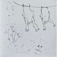 A, Annie - The Wind That Had Not Touched Land