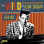 Toussaint, Allen - Wild New Orleans Piano and Productions