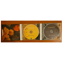Ravenstine, Allen - Wall Flower: a Radio Play