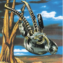 Skygreen Leopards - Jehovah Surrender