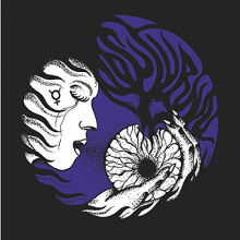 Nocturnal - Night Rainbow