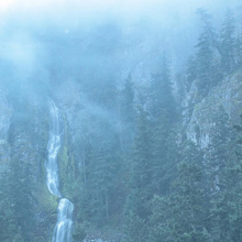 Wolves In the Throne Room - Diadem of 12 Stars
