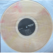 Suzzallo - The Quiet Year