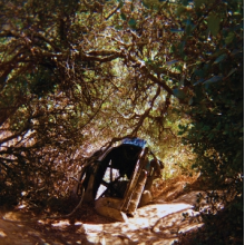 Segall, Ty - Possession