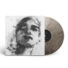 Gooch, Lucy - Desert Window