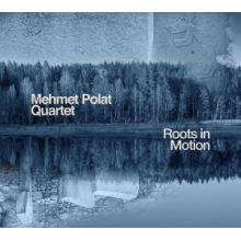Mehmet Polat Quartet - Roots In Motion