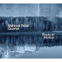Mehmet Polat Quartet - Roots In Motion