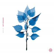 Berninger, Matt - Get Sunk