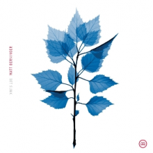 Berninger, Matt - Get Sunk