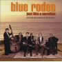 Blue Rodeo - Just Like a Vacation
