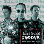 Sokal, Harry Groove - Groove, Where Sparks Star