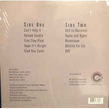 Vulture Whale - Aluminium