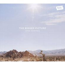 Downes, Stee - Bigger Picture