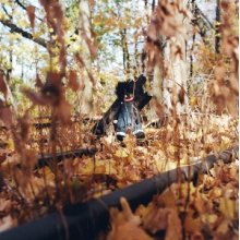 Woods, Billy - Golliwog