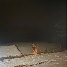 Coverdale, Kara-Lis - From Where You Came