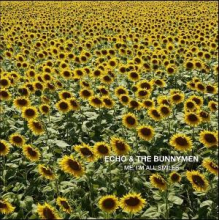 Echo and the Bunnymen - Me, I Am All Smiles