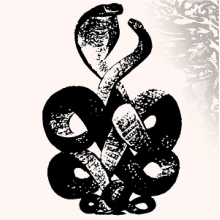 Pond, Bardo - Volume 4 & 5