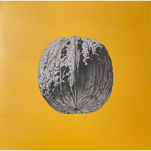 Sas, Brunori - L'albero Delle Noci