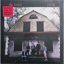 Feelies - Only Life