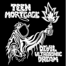 Teen Mortgage - Devil Ultrasonic Dream