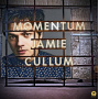Cullum, Jamie - Momentum