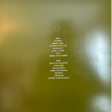 Musgraves, Kacey - Deeper Well